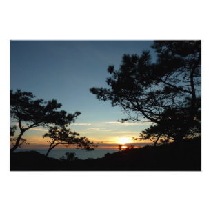 トーリーパインサンセットIIIカリフォルニアの風景 フォトプリント