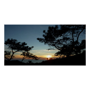 トーリーパインサンセットIIIカリフォルニアの風景 ポスター