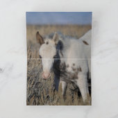 トールとツドラ サンキューカード (内部)