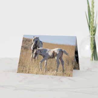 トールとツドラ サンキューカード