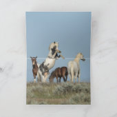 トールのチャレンジワイルドホースのグリーティングカード サンキューカード (内部)