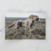 トールの最後のポートレートグリーティングカード 招待状 (内部)