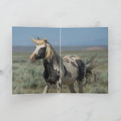 トールの軽いポートレートワイルドホースグリーティングカード サンキューカード (内部)