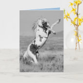 トールは野馬の挨拶状を読む カード (黄色い花)