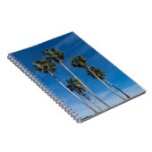 トールカービングパームズ ノートブック (右側)