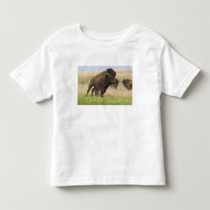 トールグラスでの気性の荒い若いアメリカバイソン トドラーTシャツ
