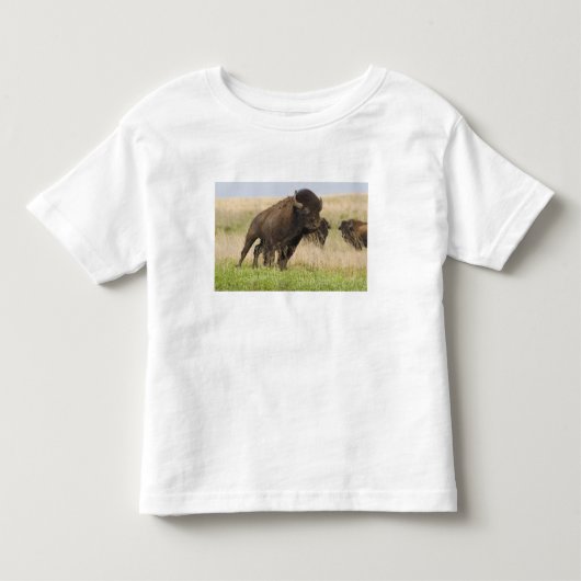 トールグラスでの気性の荒い若いアメリカバイソン トドラーTシャツ (正面)
