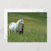 トールグラスに浮かぶ馬と馬 ポストカード (正面/裏面)