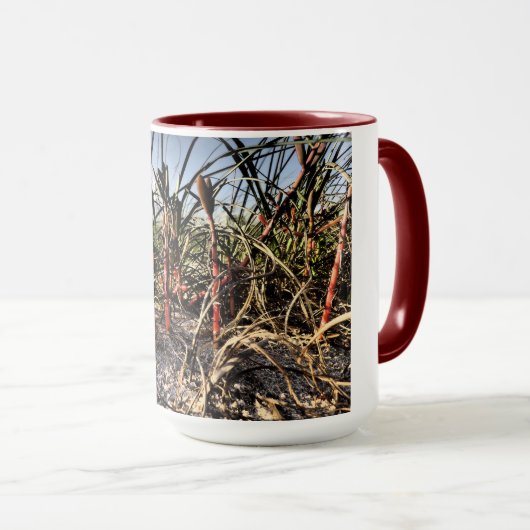 トールグラス マグカップ (正面右)