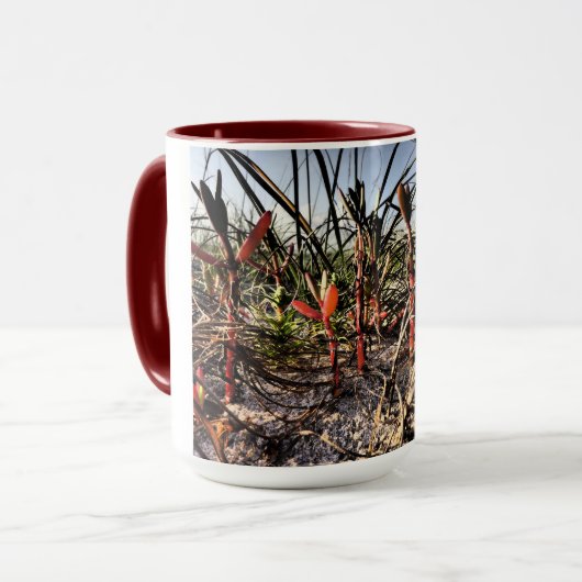 トールグラス マグカップ (正面左)