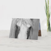 トールズアイズ-野生の馬のグリーティングカード カード (正面)