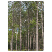 トールパインズ クリップボード (裏面)