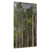 トールパインズ クリップボード (右)