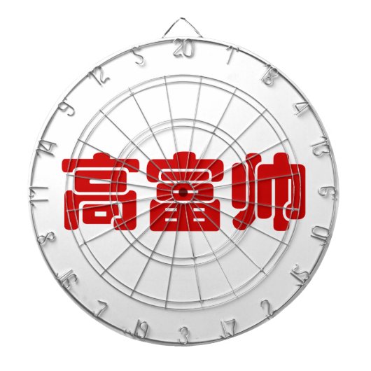 トールリッチ&ハンサム高富帅ハン中国のジーミーム ダーツボード (正面)