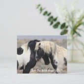 トール・マカロフピークワイルドホース葉書 ポストカード (スタンド正面)