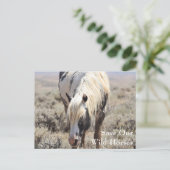 トール・マクロー・ピークス・ハガキ ポストカード (スタンド正面)