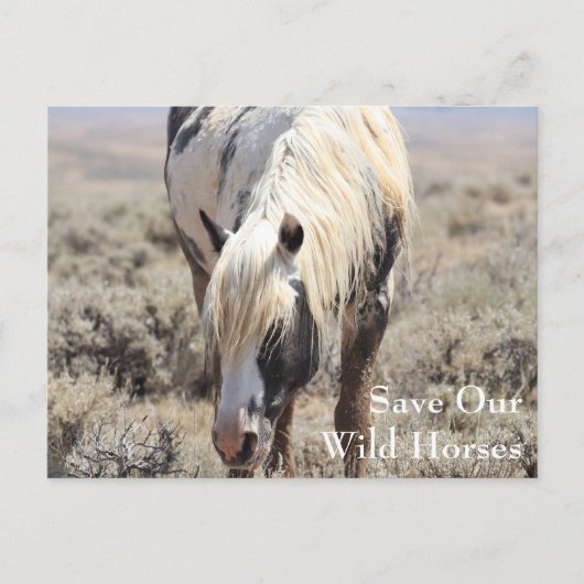 トール・マクロー・ピークス・ハガキ ポストカード (正面)