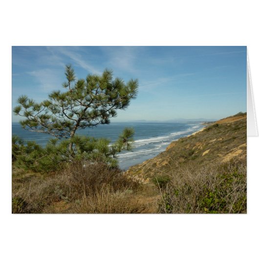 トーレイパインとカリフォルニアの海岸風景 (正面横)