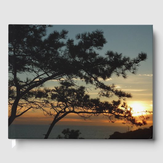 トーレイパインの夕焼けⅠカリフォルニアの風景 ゲストブック (正面)