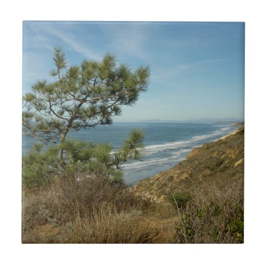 トーレイマツとカリフォルニアの海岸風景 タイル (正面)