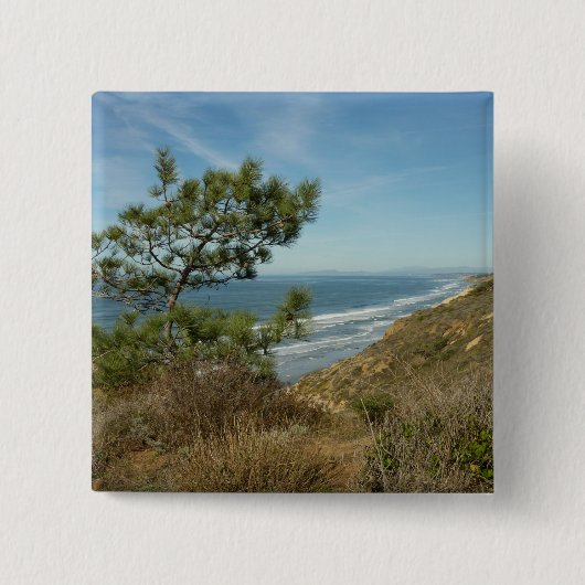 トーレイマツとカリフォルニアの海岸風景 缶バッジ (正面)