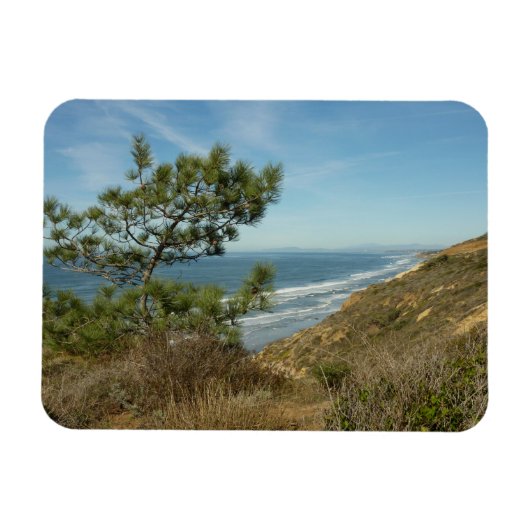 トーレイ パイン と カリフォルニア 海岸の風景 マグネット (横)