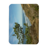 トーレイ パイン と カリフォルニア 海岸の風景 マグネット (縦)