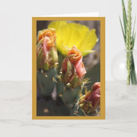 トーンズのゲーム カード (正面)