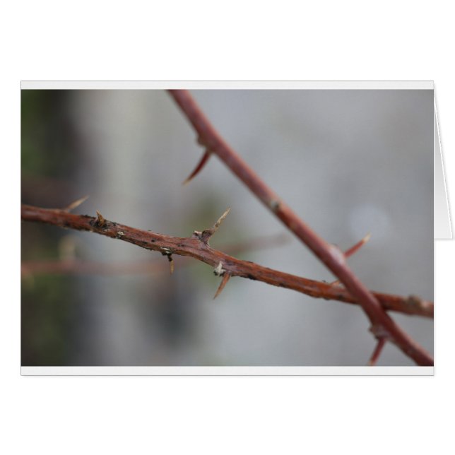 トーンズ (正面横)