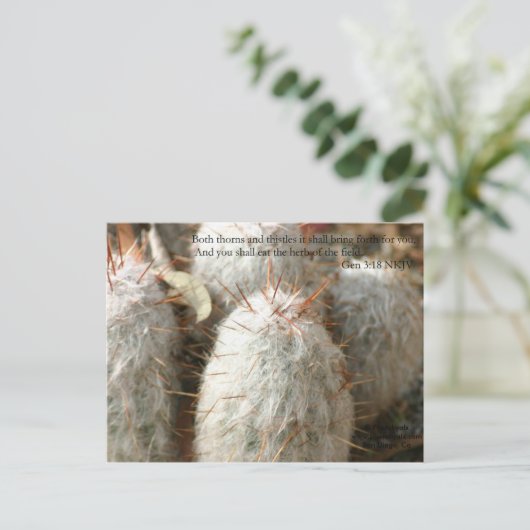 トーンズ ポストカード (スタンド正面)