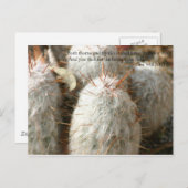 トーンズ ポストカード (正面/裏面)