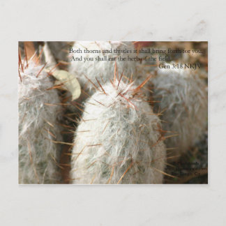 トーンズ ポストカード