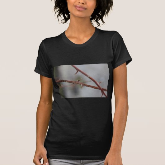 トーンズ Tシャツ (正面)