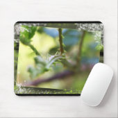 トーンドリームズマウスパッド マウスパッド (マウス)