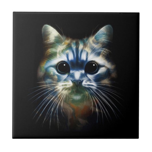 ト専攻のム タイル (正面)