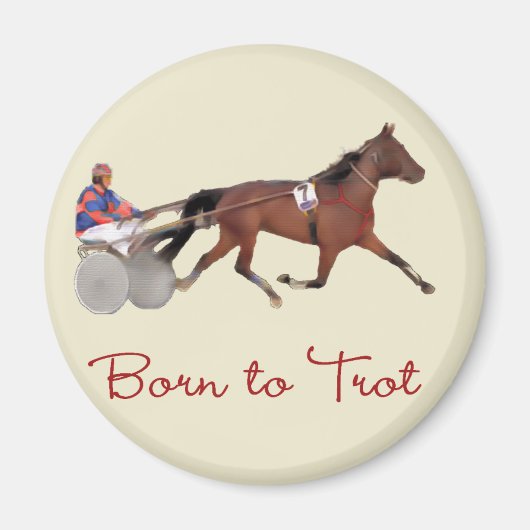 ト生まれロット マグネット (正面)