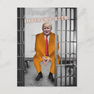 ドおもしろいナルドトランプ弾劾刑務所ユーモア シーズンポストカード