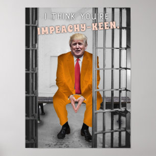 ドおもしろいナルドトランプ弾劾刑務所ユーモア ポスター