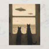 ドアのところにいる2匹の猫とUFO ポストカード (正面)