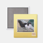 ドアを開ける マグネット (正面/裏面)