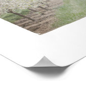 ドアカウンティさくらんぼトリオ ポスター (角)