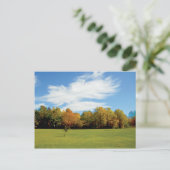 ドアカウンティ秋 ポストカード (スタンド正面)