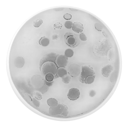 ドアセラミック引き抜きアートデザインスタイル セラミックノブ (正面)