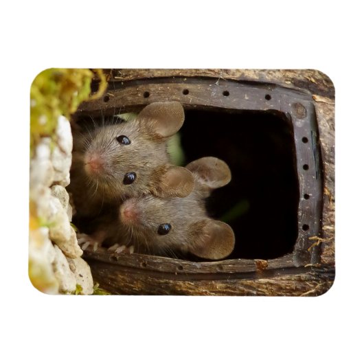 ドアネズミの2人 マグネット (横)