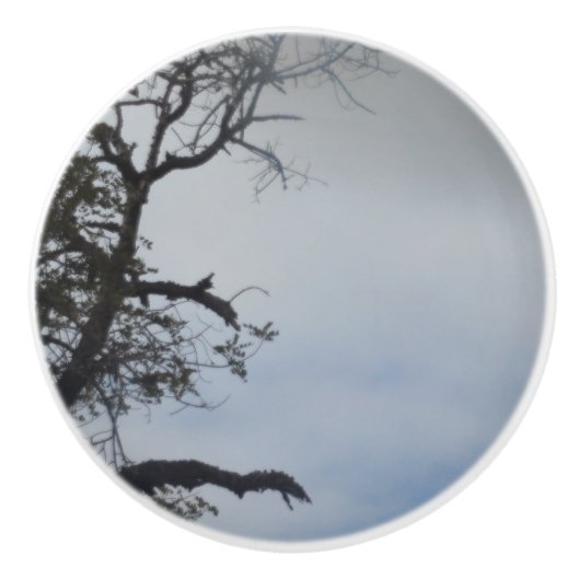 ドアプルセラミックスタイルデザイン セラミックノブ (正面)