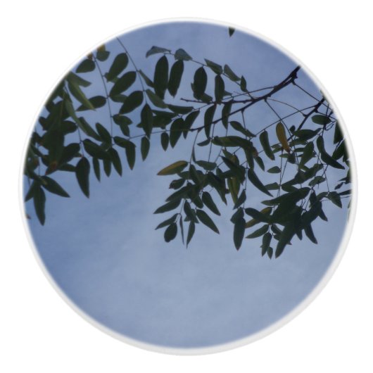 ドアプルセラミックスタイルデザイン セラミックノブ (正面)