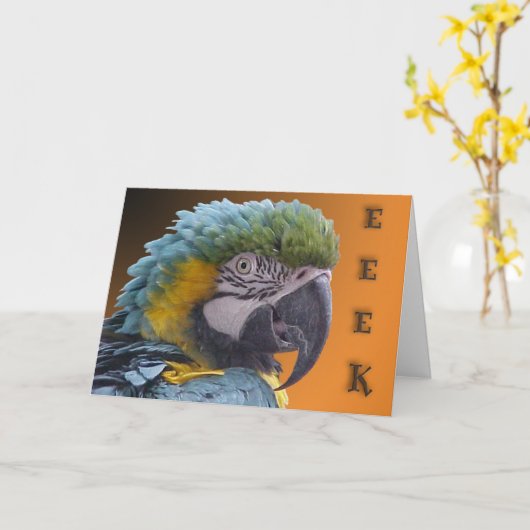 ドアベル カード (黄色い花)