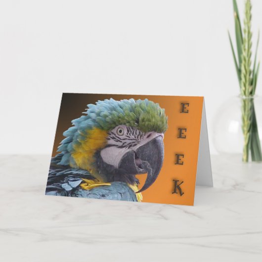 ドアベル カード (正面)