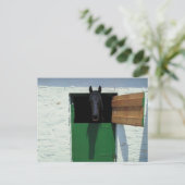 ドア付き刺しフランスの馬 ポストカード (スタンド正面)