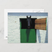 ドア付き刺しフランスの馬 ポストカード (正面/裏面)